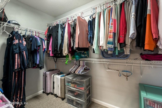 walk in closet with carpet