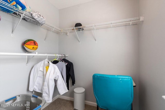 walk in closet with carpet floors