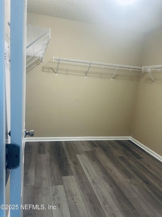 spacious closet with hardwood / wood-style flooring