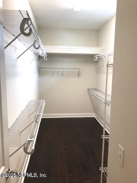 spacious closet featuring dark hardwood / wood-style floors