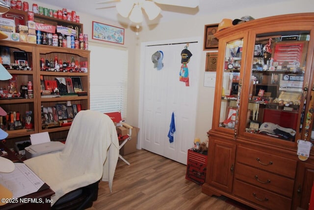 office area with ceiling fan and hardwood / wood-style floors