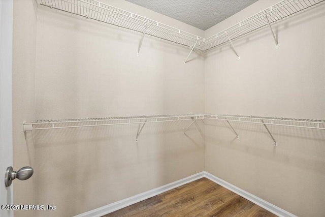 walk in closet featuring hardwood / wood-style floors