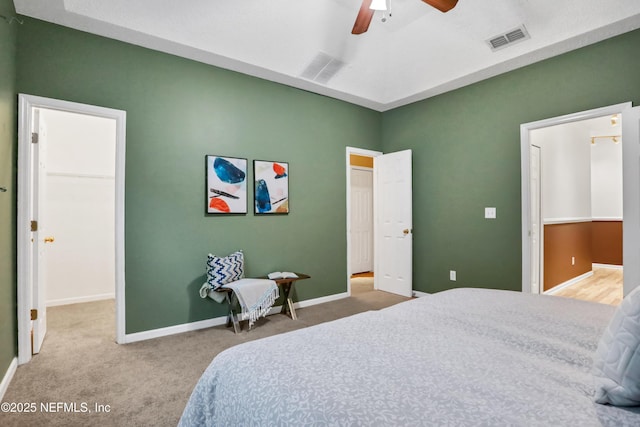 carpeted bedroom with ceiling fan and a walk in closet