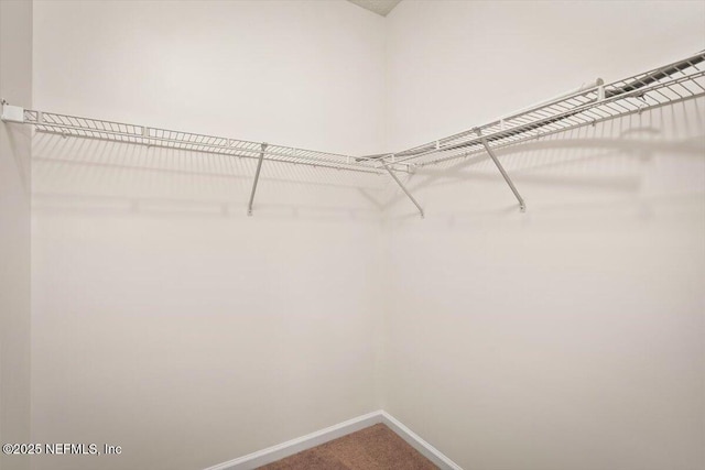 8671 Ribbon Falls Ln, Jacksonville, FL 32244 - photo 21