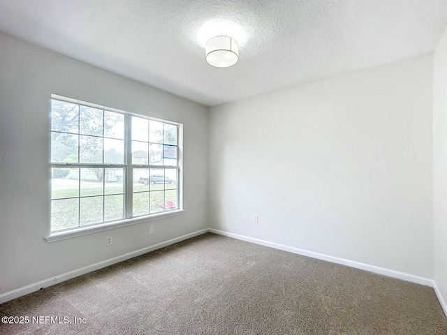 spare room with carpet flooring and a textured ceiling