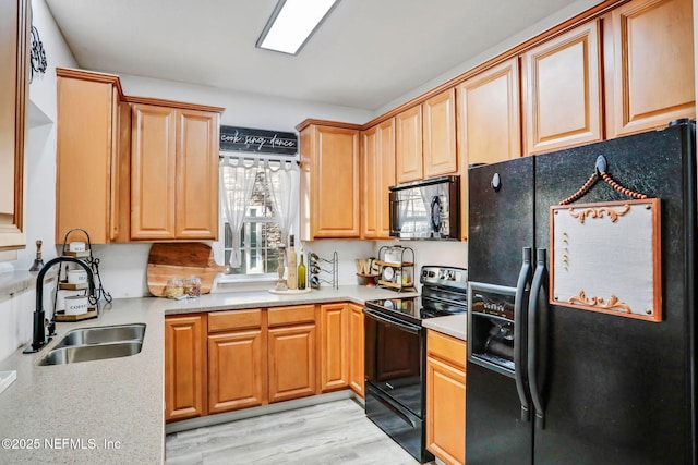 kitchen featuring light wood-type flooring, sink, and black appliances