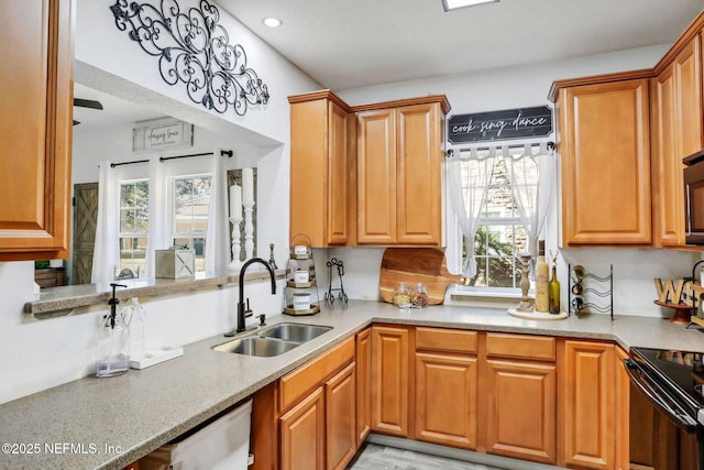 kitchen with black electric range, dishwasher, and sink