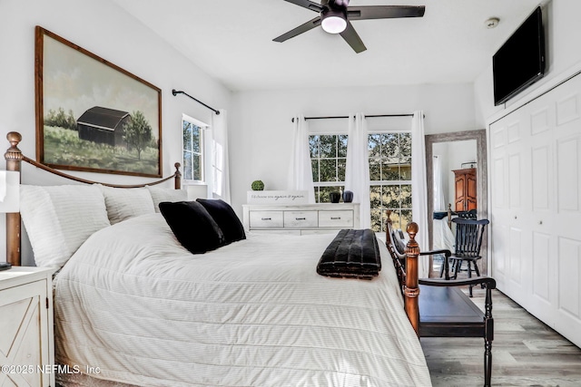 bedroom featuring a closet, ceiling fan, and light hardwood / wood-style flooring