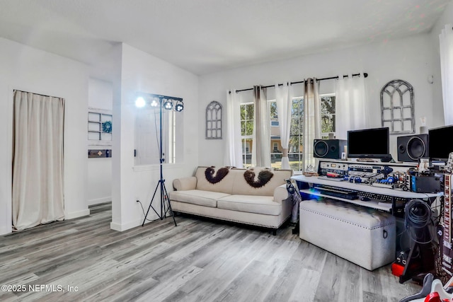 living room with light wood-type flooring