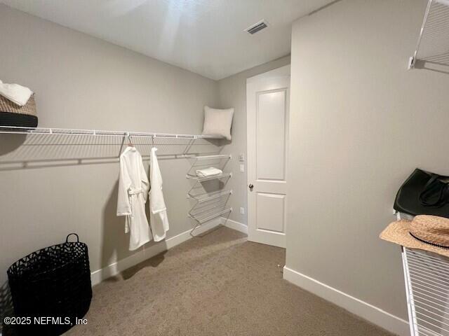 walk in closet with carpet