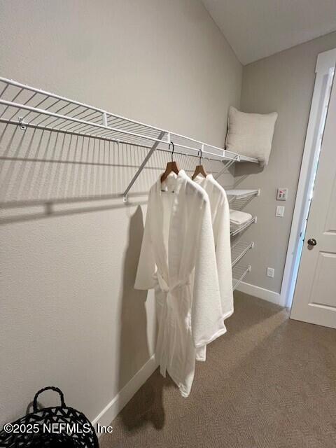 spacious closet with vaulted ceiling