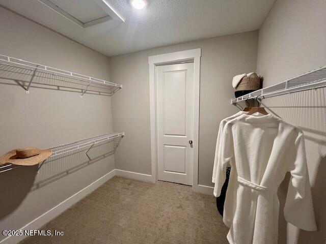 walk in closet featuring carpet flooring