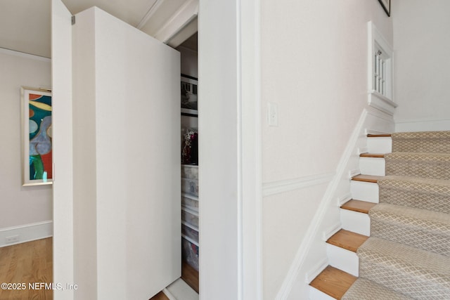 stairway with hardwood / wood-style floors