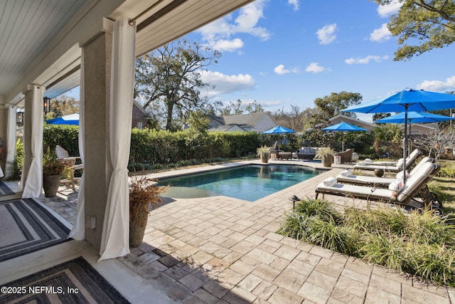 view of swimming pool featuring a patio