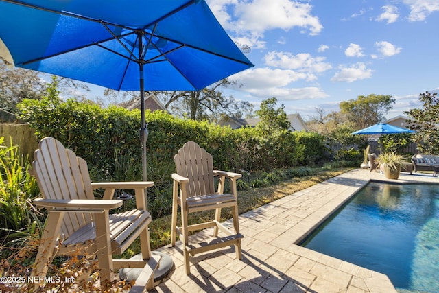 view of pool with a patio area