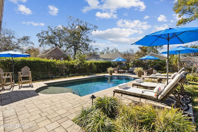 view of swimming pool with a patio area