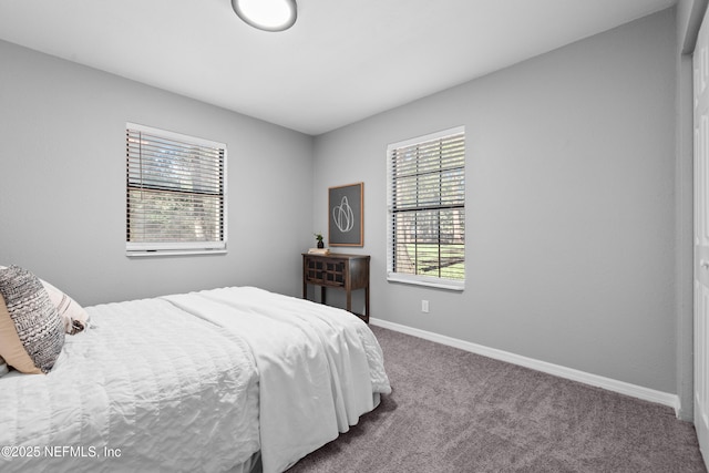 bedroom featuring multiple windows and carpet