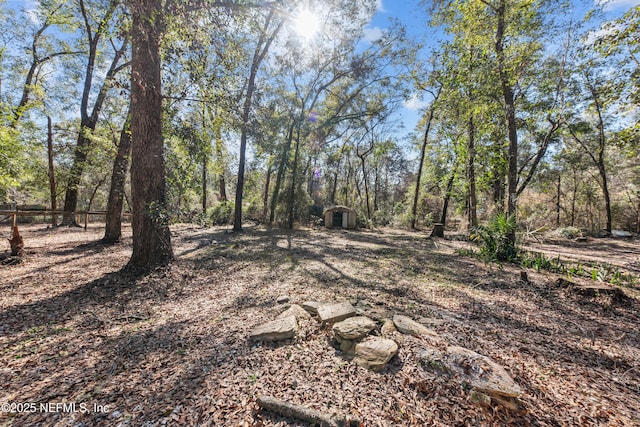 view of local wilderness