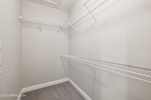 walk in closet with carpet