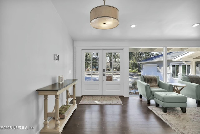 entryway featuring dark wood-type flooring, a wealth of natural light, and french doors