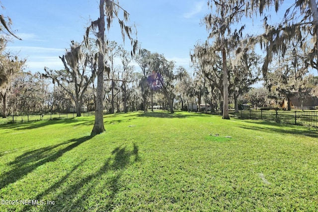 view of yard