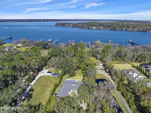 aerial view with a water view