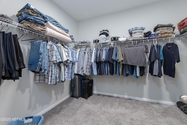 spacious closet with carpet