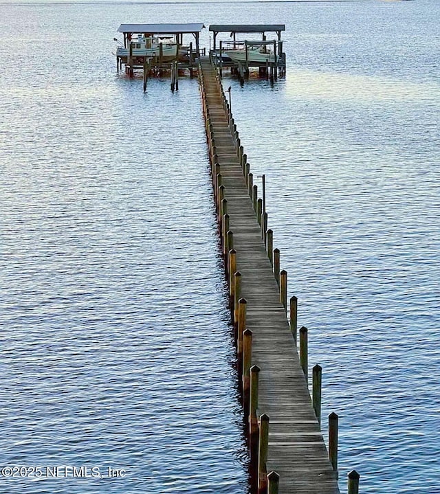 2280 Shepard St Unit 204, Jacksonville, FL 32211 - dock area featuring a water view