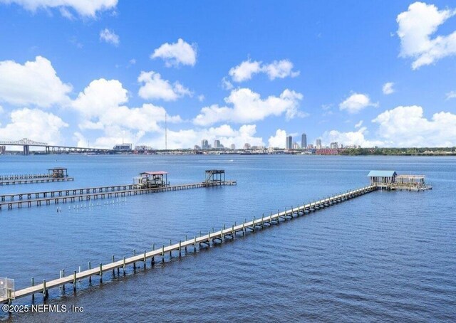 2280 Shepard St Unit 204, Jacksonville, FL 32211 - water view
