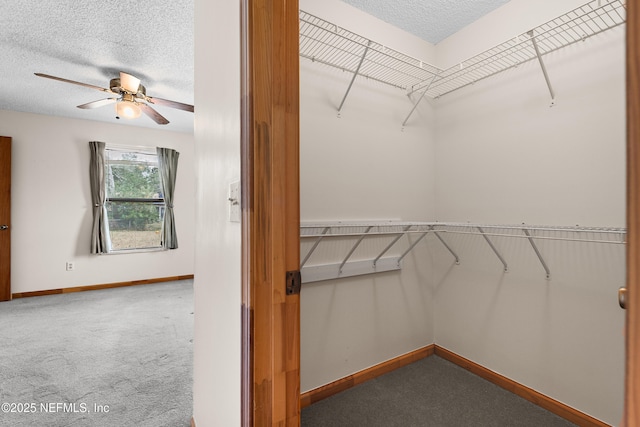 spacious closet featuring carpet floors and ceiling fan