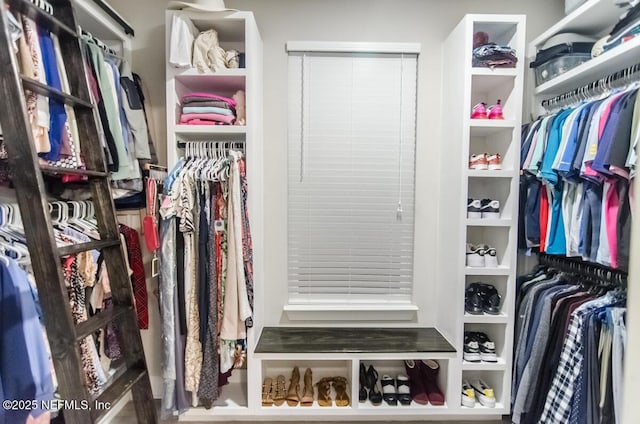 1468 Shadow Creek Dr, Orange Park, FL 32065 - view of walk in closet