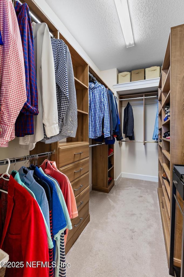 spacious closet with light carpet