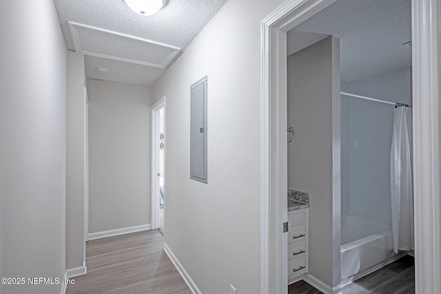 hallway featuring a textured ceiling, light hardwood / wood-style floors, and electric panel