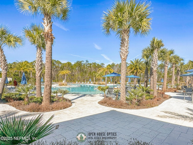 view of pool featuring a patio