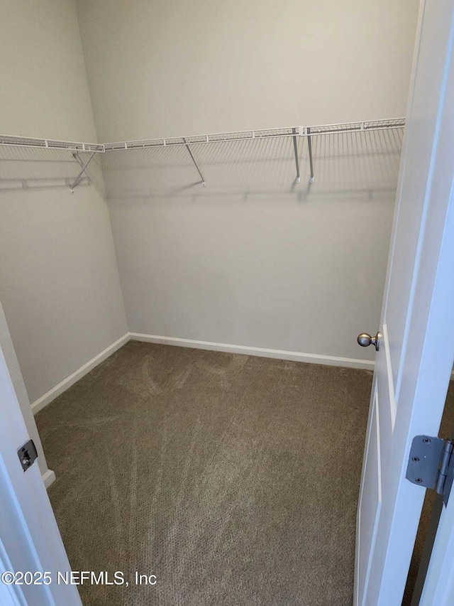 walk in closet with dark carpet