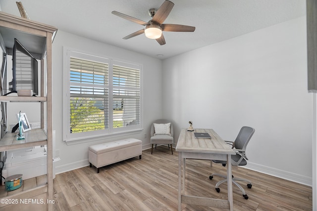 office with ceiling fan, a textured ceiling, and light wood-type flooring