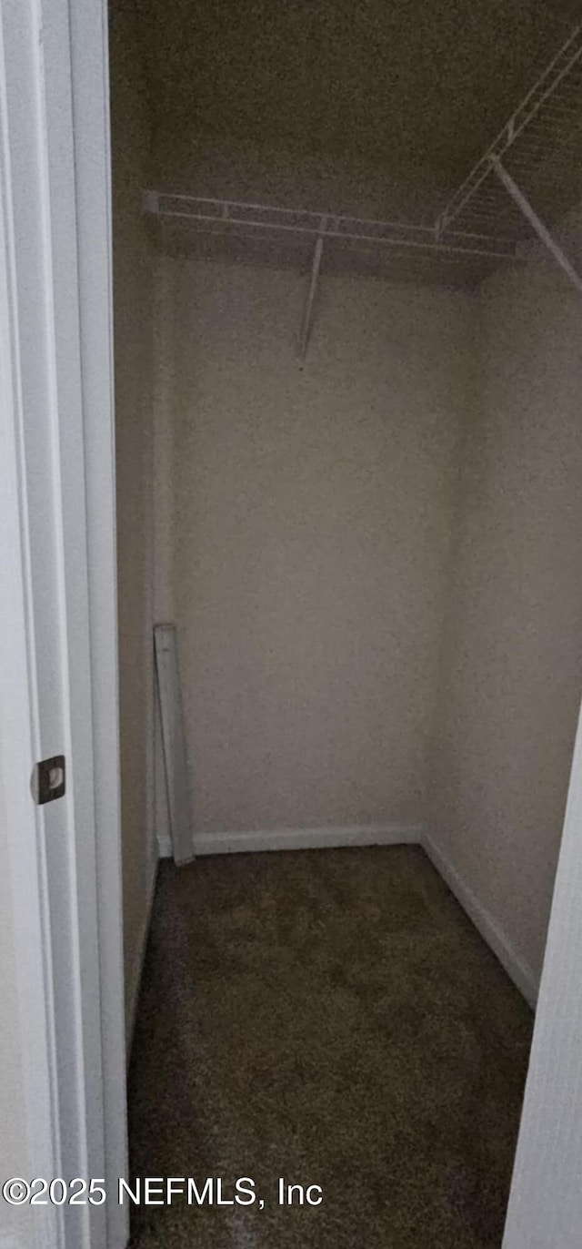 walk in closet with carpet