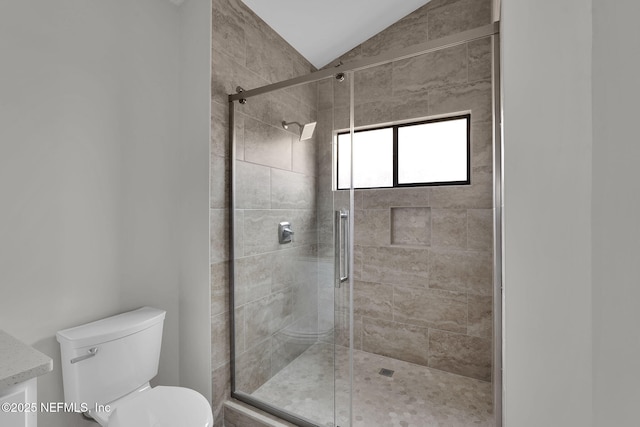 bathroom featuring vaulted ceiling, toilet, and a shower with shower door