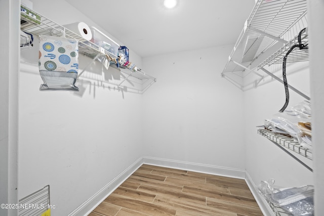 walk in closet featuring wood-type flooring