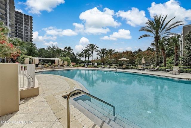 view of swimming pool with a patio area