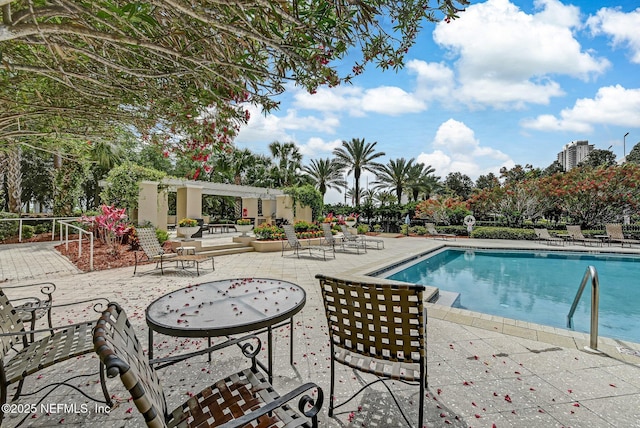 view of swimming pool featuring a pergola and a patio