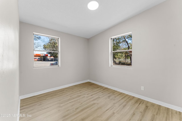 empty room featuring a wealth of natural light and light hardwood / wood-style flooring