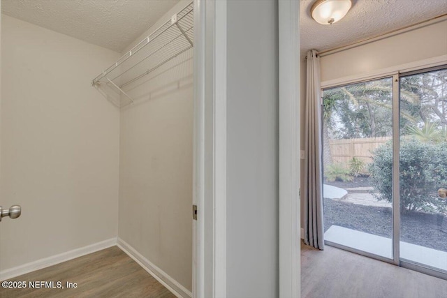 spacious closet featuring hardwood / wood-style flooring