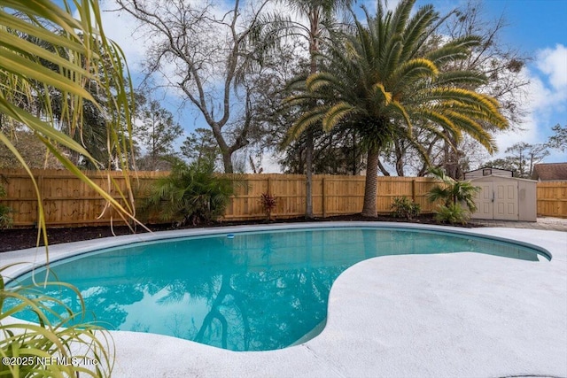 view of swimming pool featuring a shed