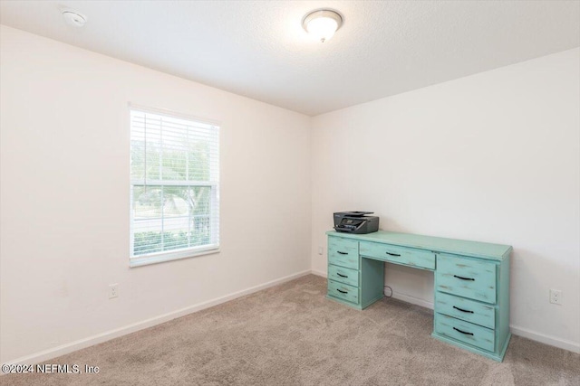 unfurnished office with light carpet and a textured ceiling