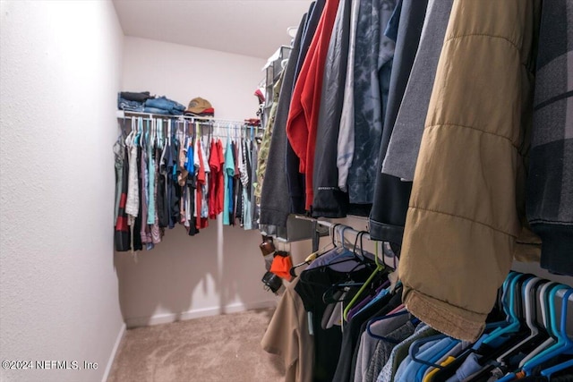 spacious closet featuring carpet