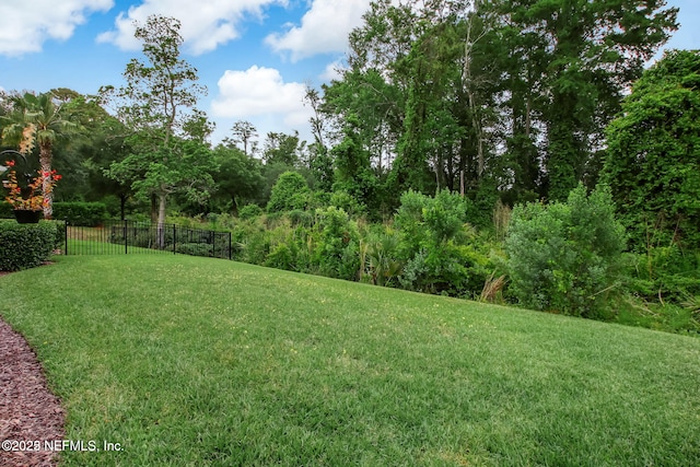 9227 Sunrise Breeze Cir, Jacksonville, FL 32256 - photo 55