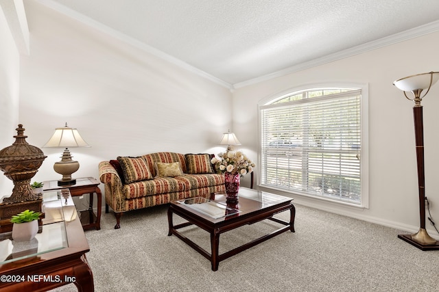 carpeted living room featuring ornamental molding and a textured ceiling