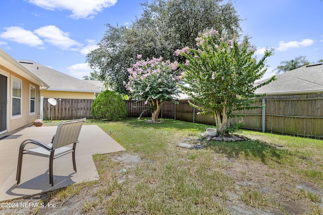 view of yard with a patio area