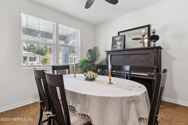 dining area with ceiling fan and wood-type flooring